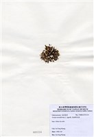 藏品(唸珠鮮奈藻)的圖片